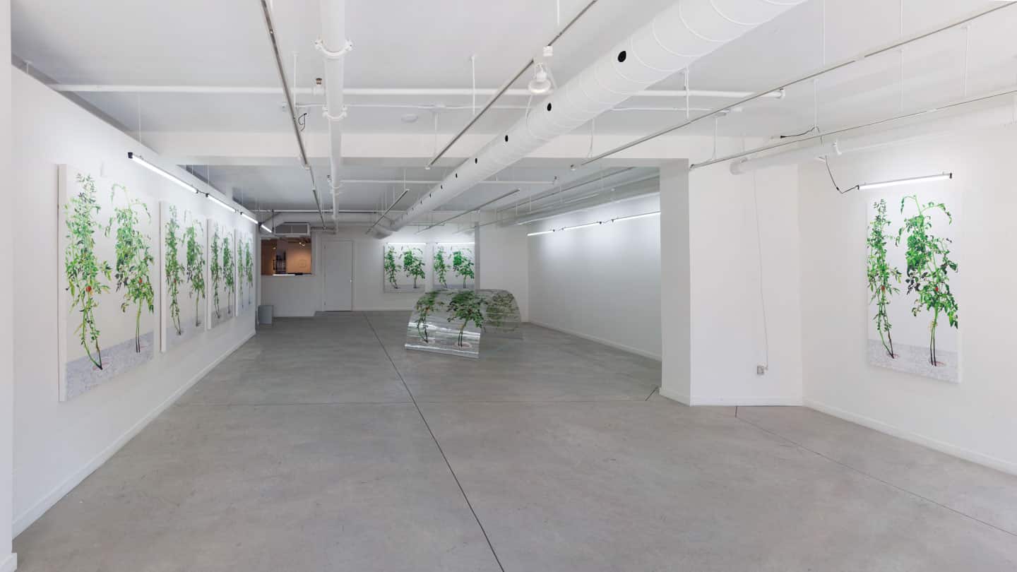 1, 7, and 6000 — o'born contemporary, Toronto, Canada — 2015